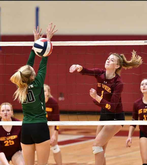 Mattea Penner Volleyball